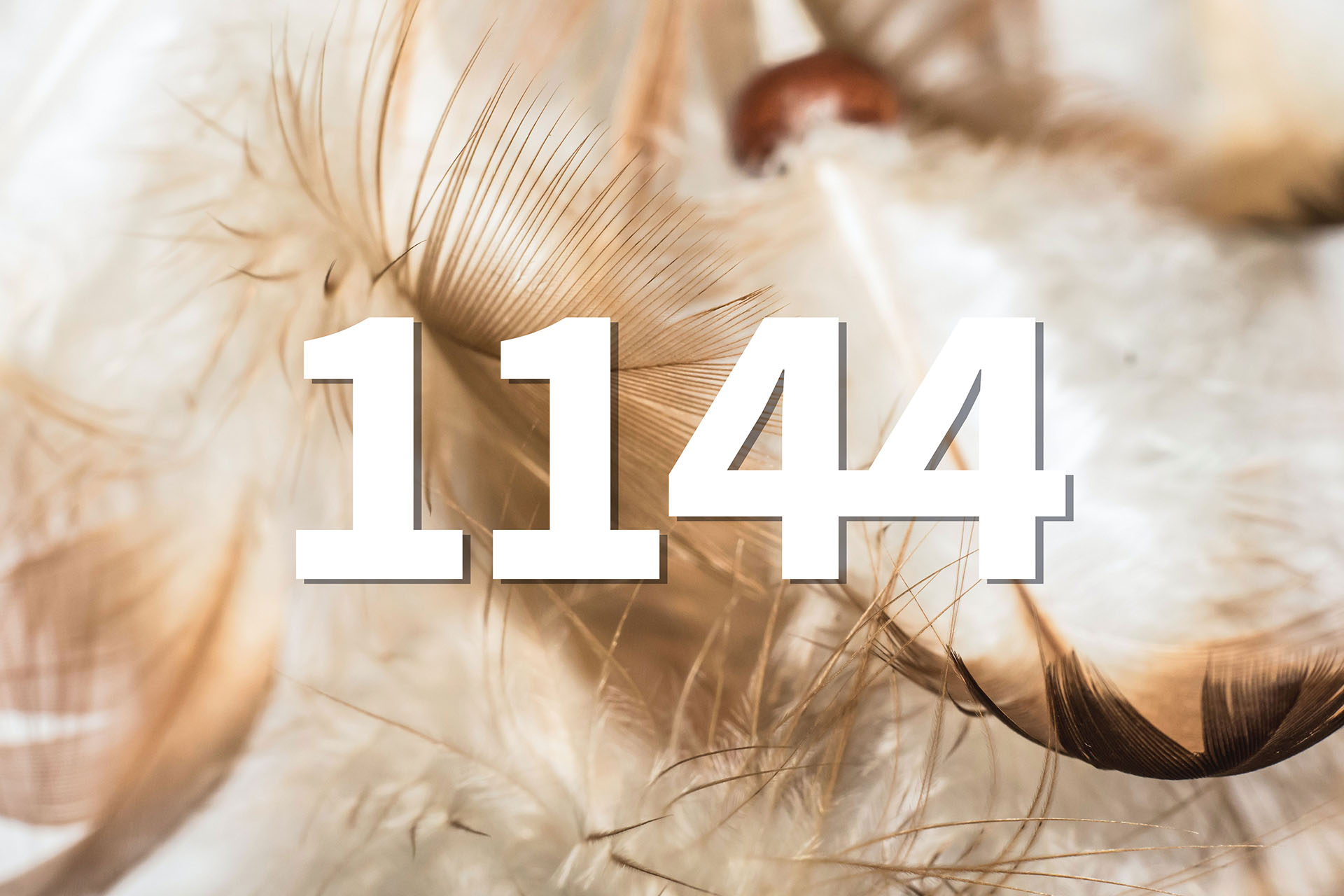 julian-hanslmaier-lYMbHxtntRo-unsplash-1